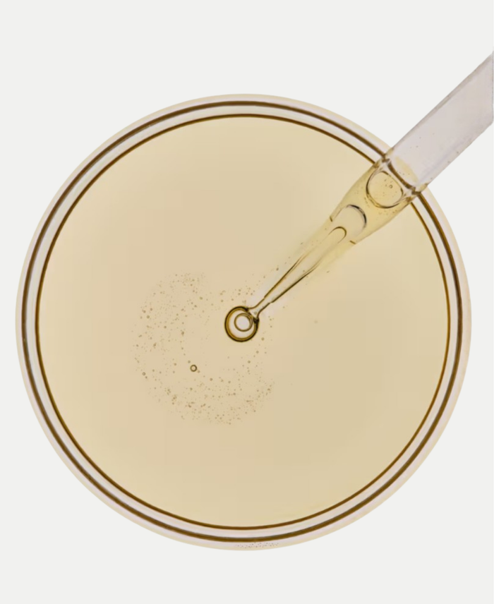 Digestive Enzyme Complex