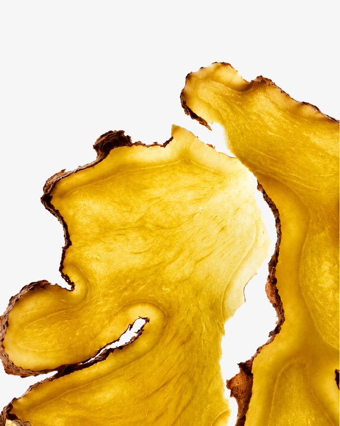 Ginger Root Extract
