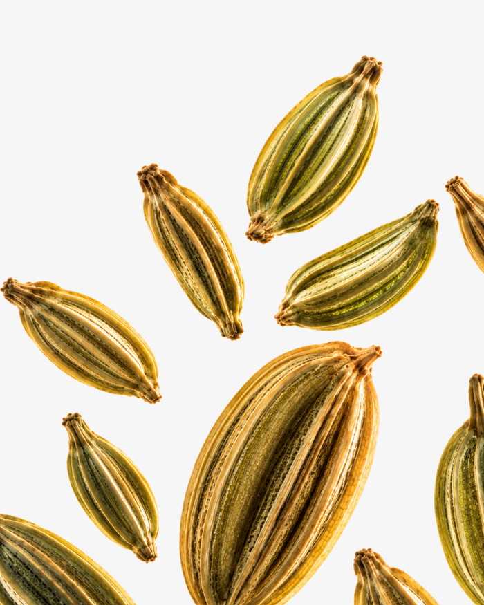 Fennel Seed Extract
