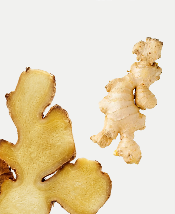 Ginger Root Extract