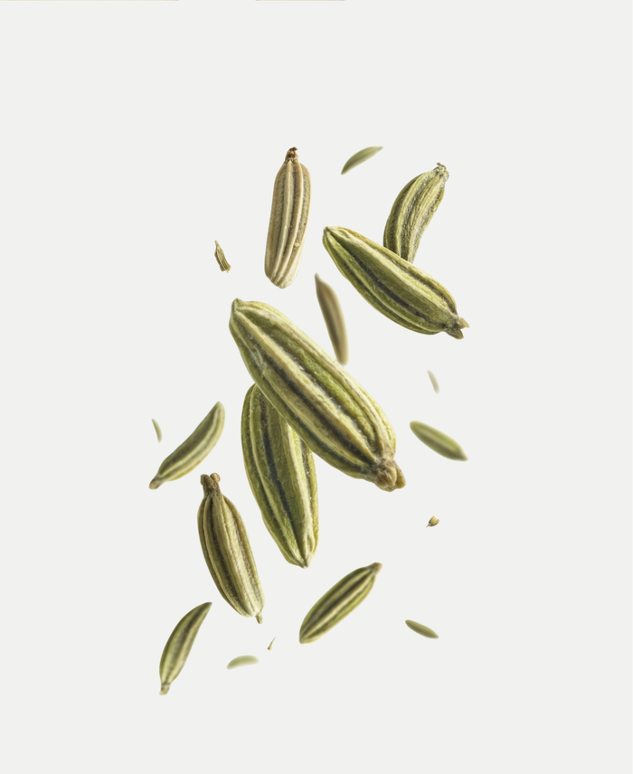 Fennel Seed Extract