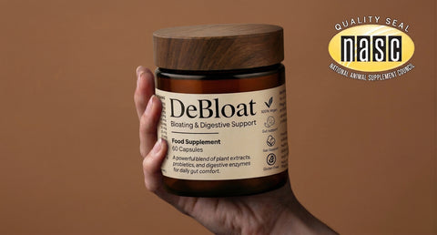 United Kingdom's #1 Bloating Supplement